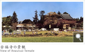 ̌i View of Anpukuji Temple