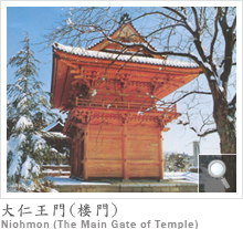 miOjNiohmon ( The Main Gate of Temple )