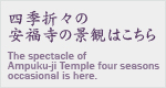 lG܁Ẍ̌iς͂ The spectacle of Ampuku-ji Temple four season soccasional is here. 