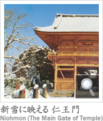 Vɉf m Niohmon (The Main Gate of Temple)